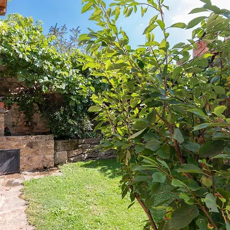 Villa Fidalsa Paradise Point