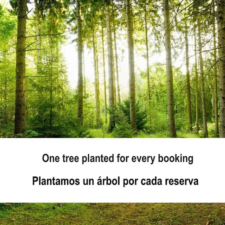 Fidalsa Paradise Point